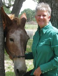 Temperament Balancing Formulas for Earth Horses